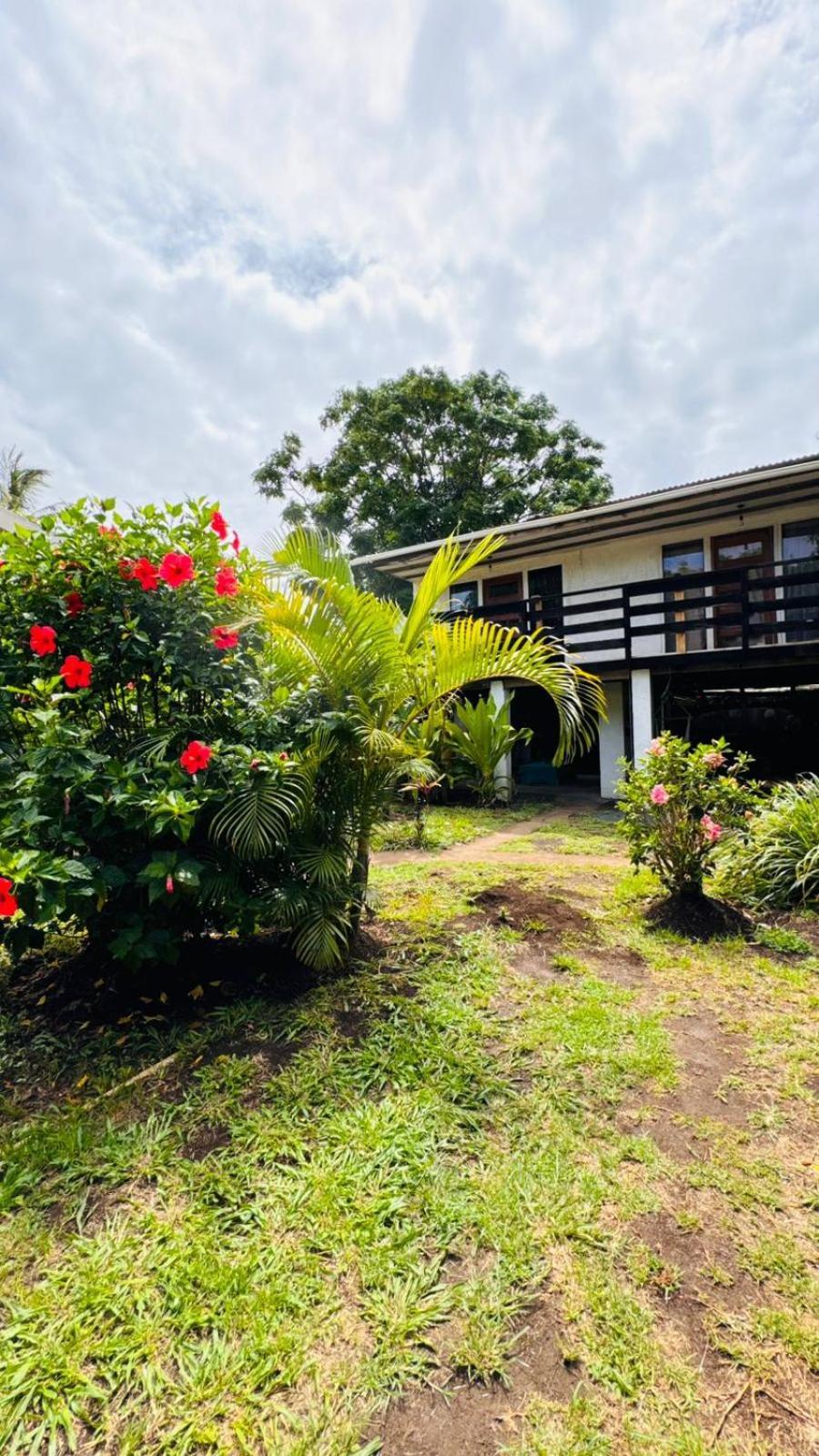 Mata Nui Eco Hostel Hanga Roa Luaran gambar